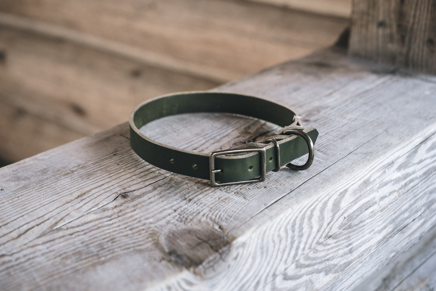 handmade in Canada leather dog collar braided in green with solid brass hardware