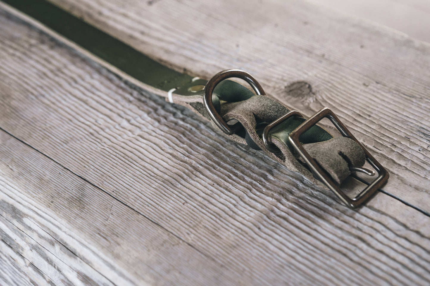 handmade in Canada leather dog collar braided in green with solid brass hardware