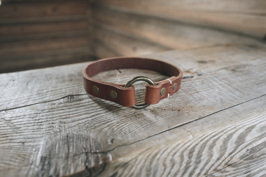 handmade in Canada leather dog collar in brown with solid brass hardware iD