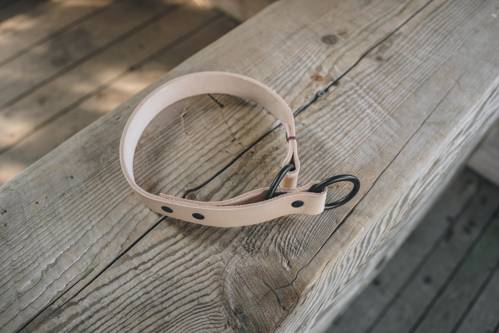 handmade in Canada leather limited slip dog collar in natural with black hardware