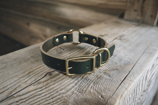 Leather dog collar green brass canada center ring