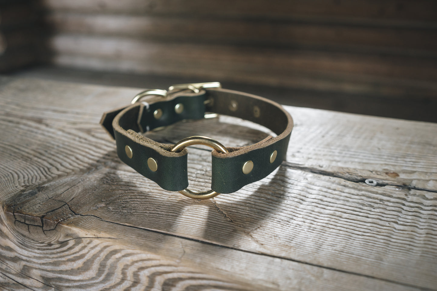 Leather dog collar green brass canada center ring