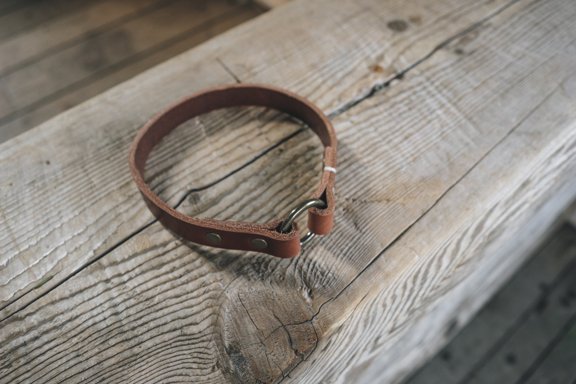 handmade in Canada leather dog collar in brown with solid brass hardware iD