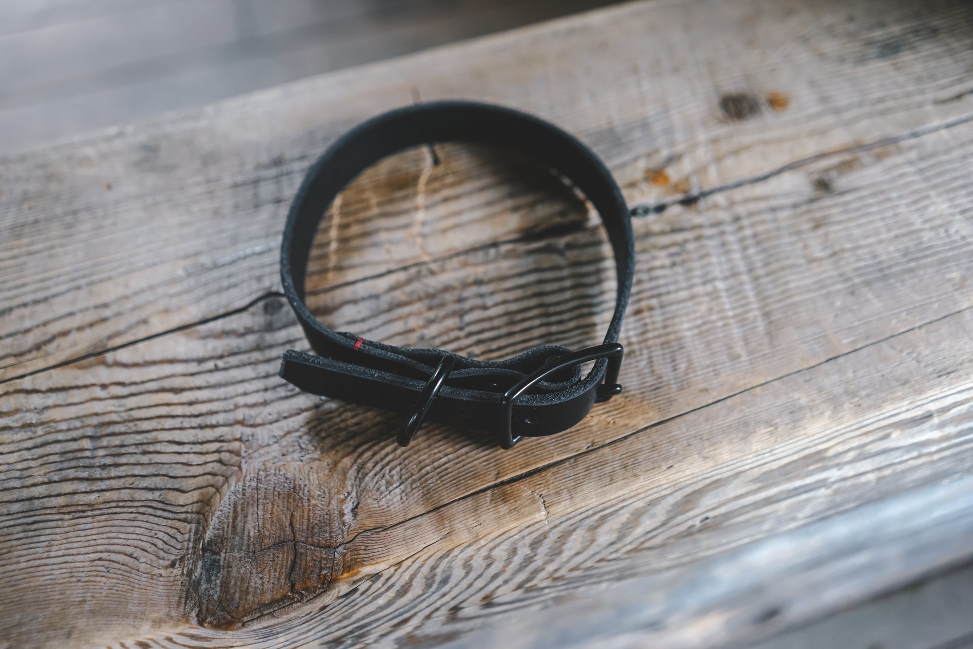 handmade in Canada leather dog collar in black with black buckle hardware