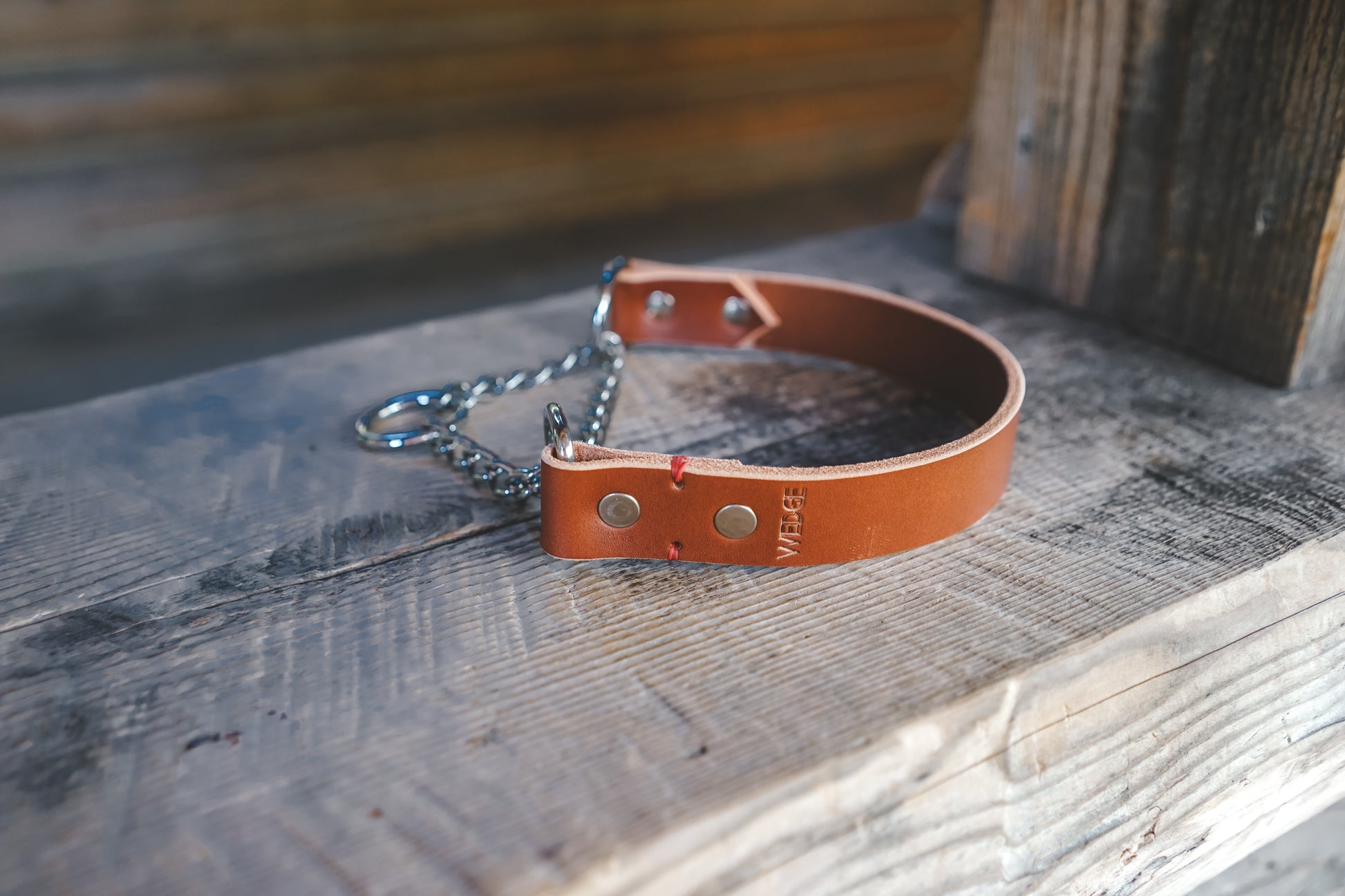 handmade in Canada leather dog martingale collar in cognac with silver hardware