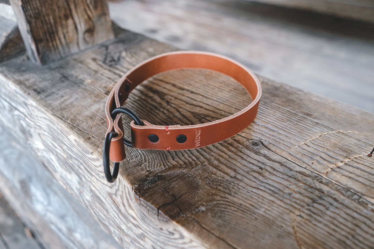 handmade in Canada leather limited slip dog collar in cognac with black hardware