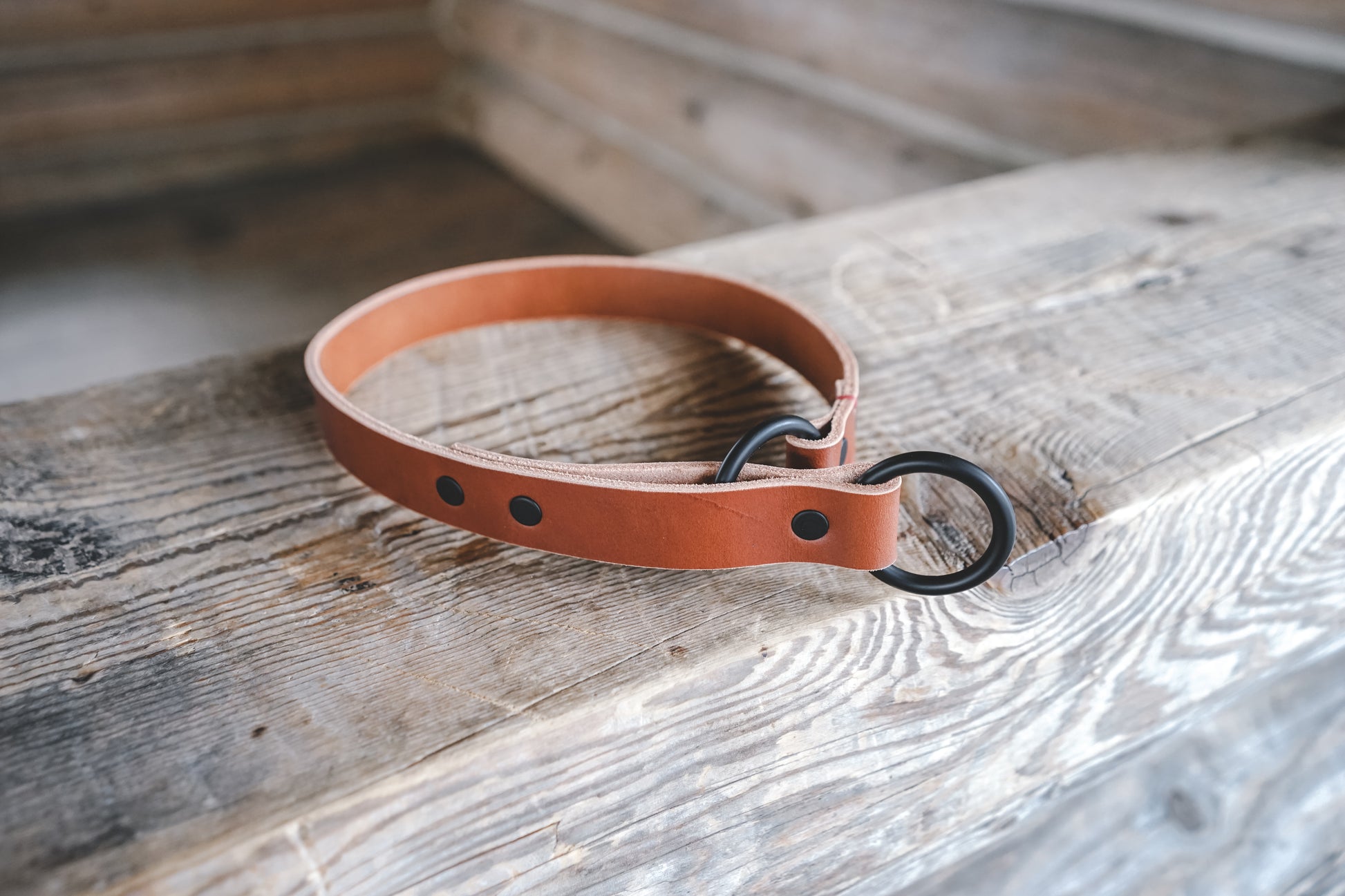 handmade in Canada leather limited slip dog collar in cognac with black hardware